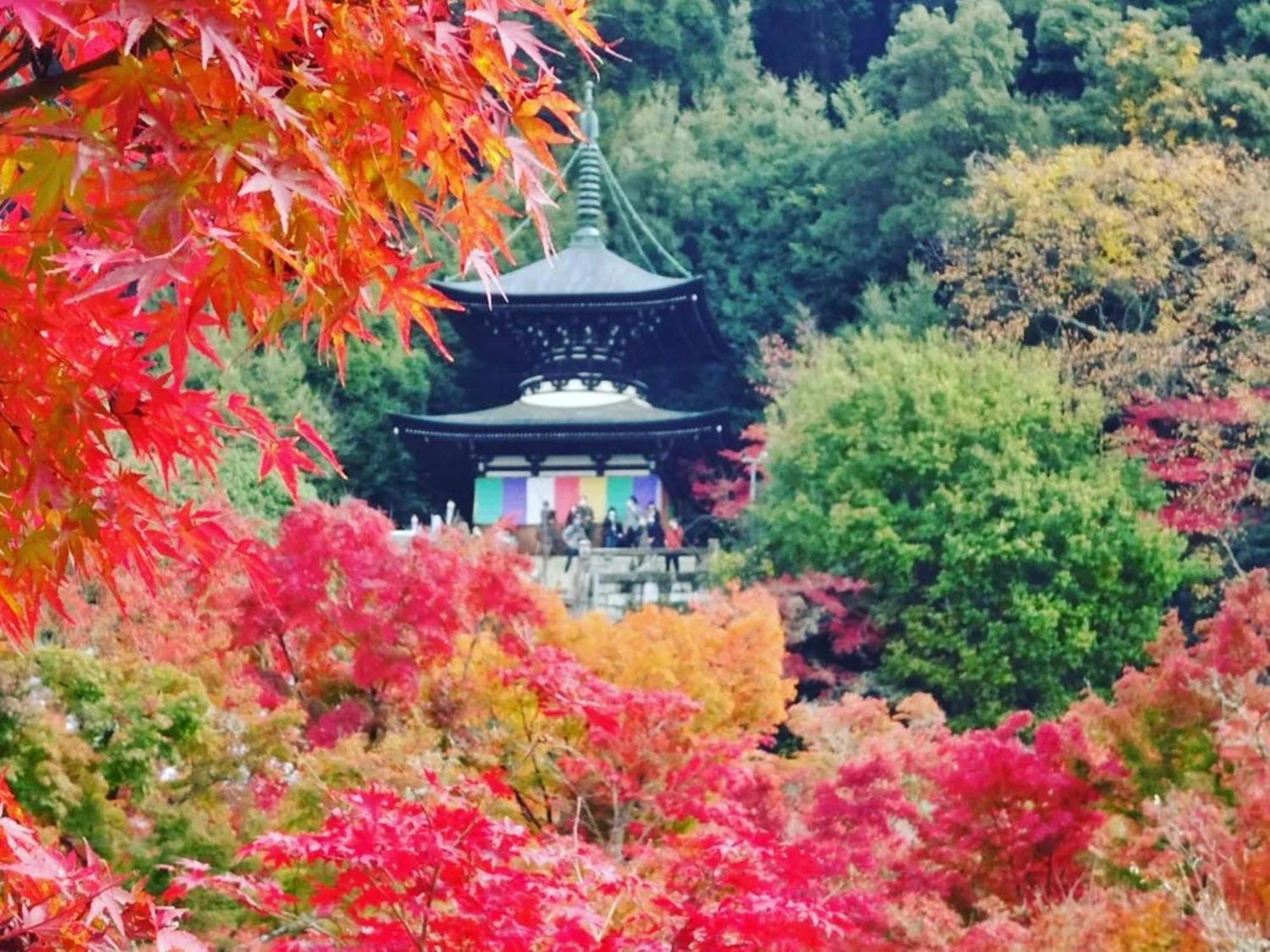 Yamamoto Ryokan, Kyoto